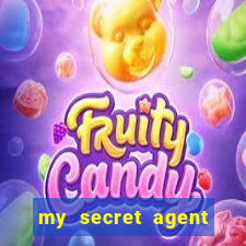 my secret agent husband legendado